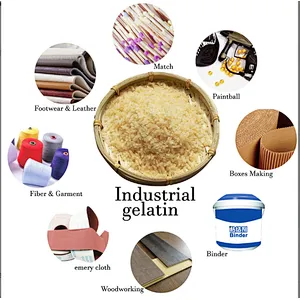 New Arrival Food Additive Gelatin Halal Edible Bovine Gelatin Powder